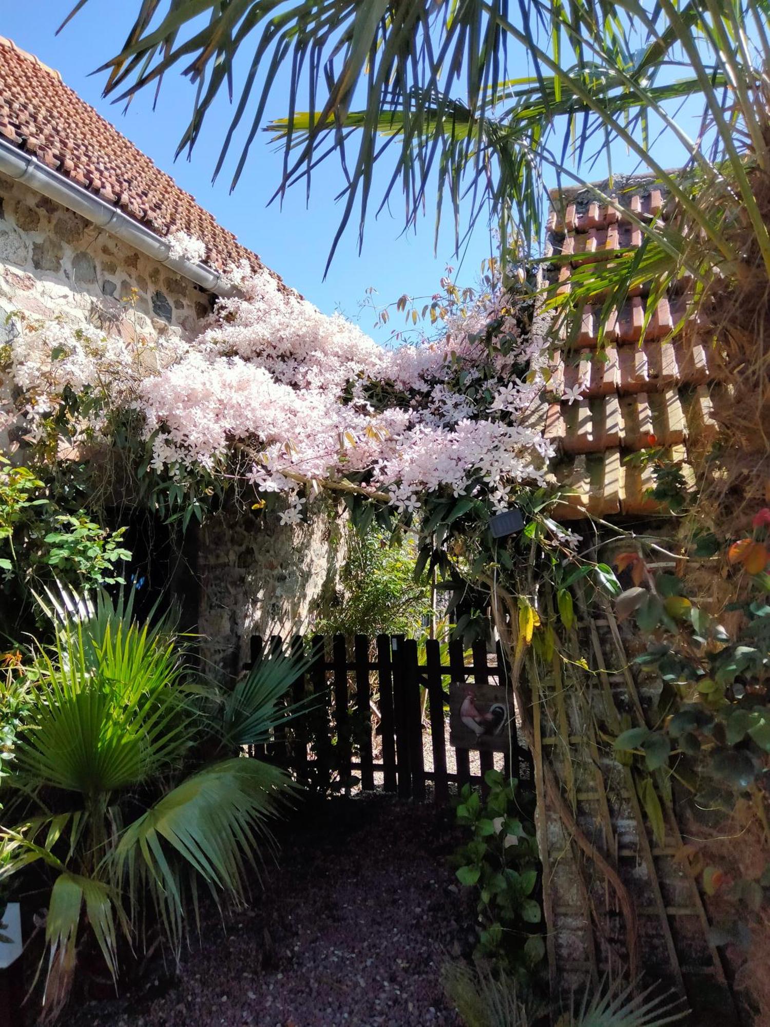Apartamento Les Deux Moulins Saint-Alban  Exterior foto